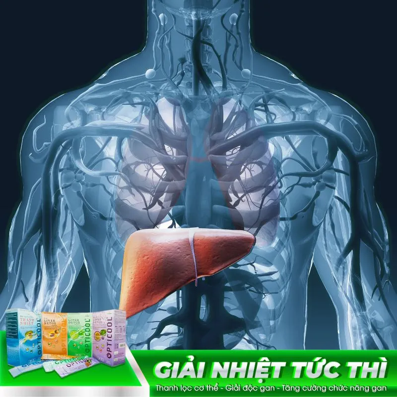 9 cách giải độc gan tại nhà hiệu quả